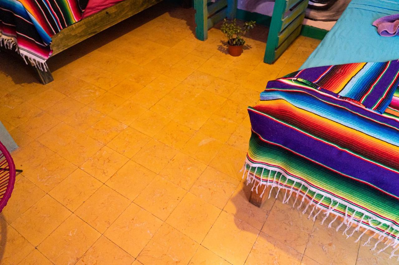 Hostal Chesal San Luis Potosí Dış mekan fotoğraf