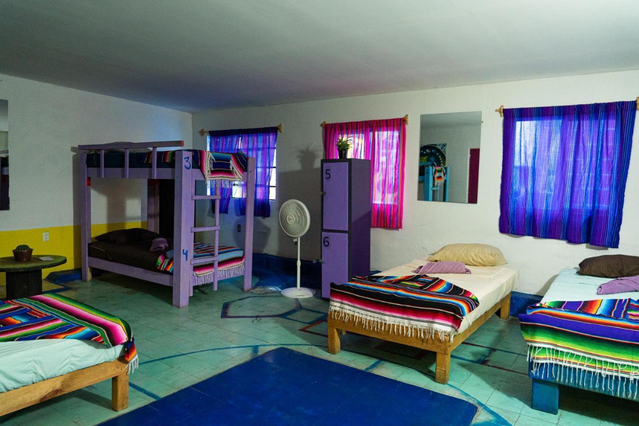 Hostal Chesal San Luis Potosí Dış mekan fotoğraf