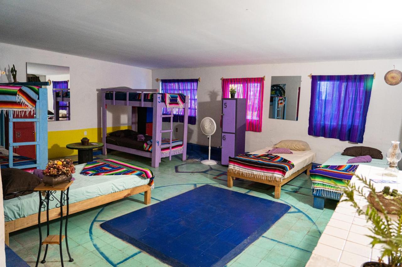 Hostal Chesal San Luis Potosí Dış mekan fotoğraf
