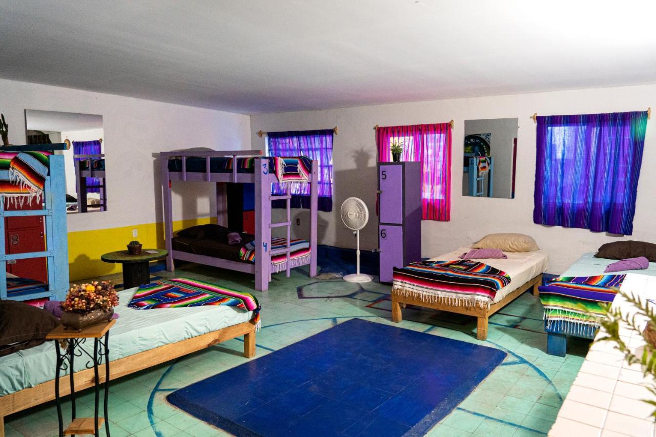 Hostal Chesal San Luis Potosí Dış mekan fotoğraf