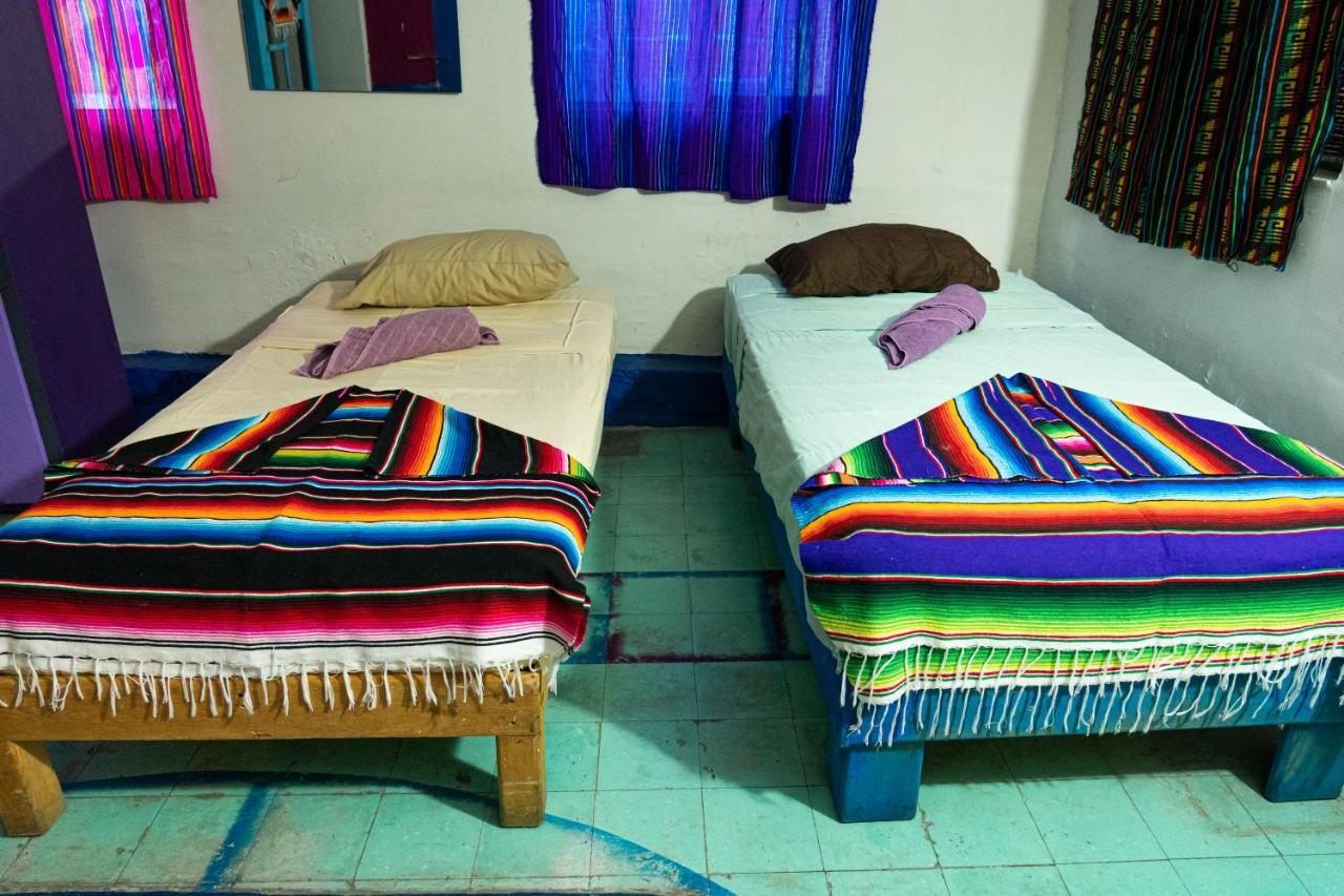 Hostal Chesal San Luis Potosí Dış mekan fotoğraf